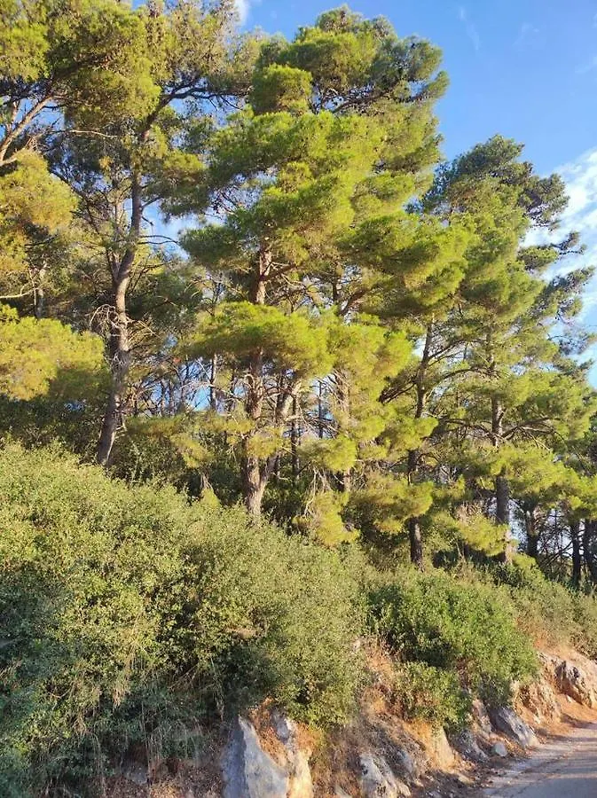Forest & Sea View Apartment Argostoli   Argostoli (Kefalonia)